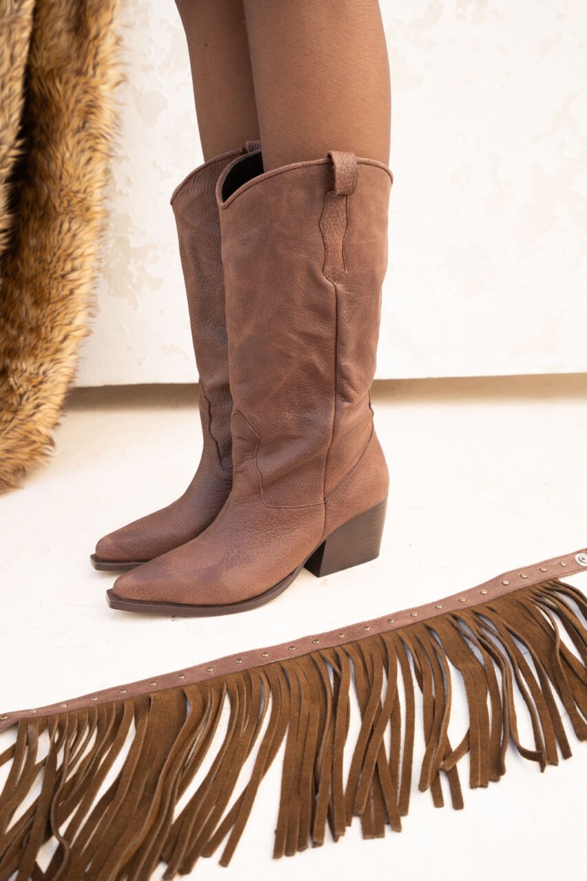 Bota Delfi